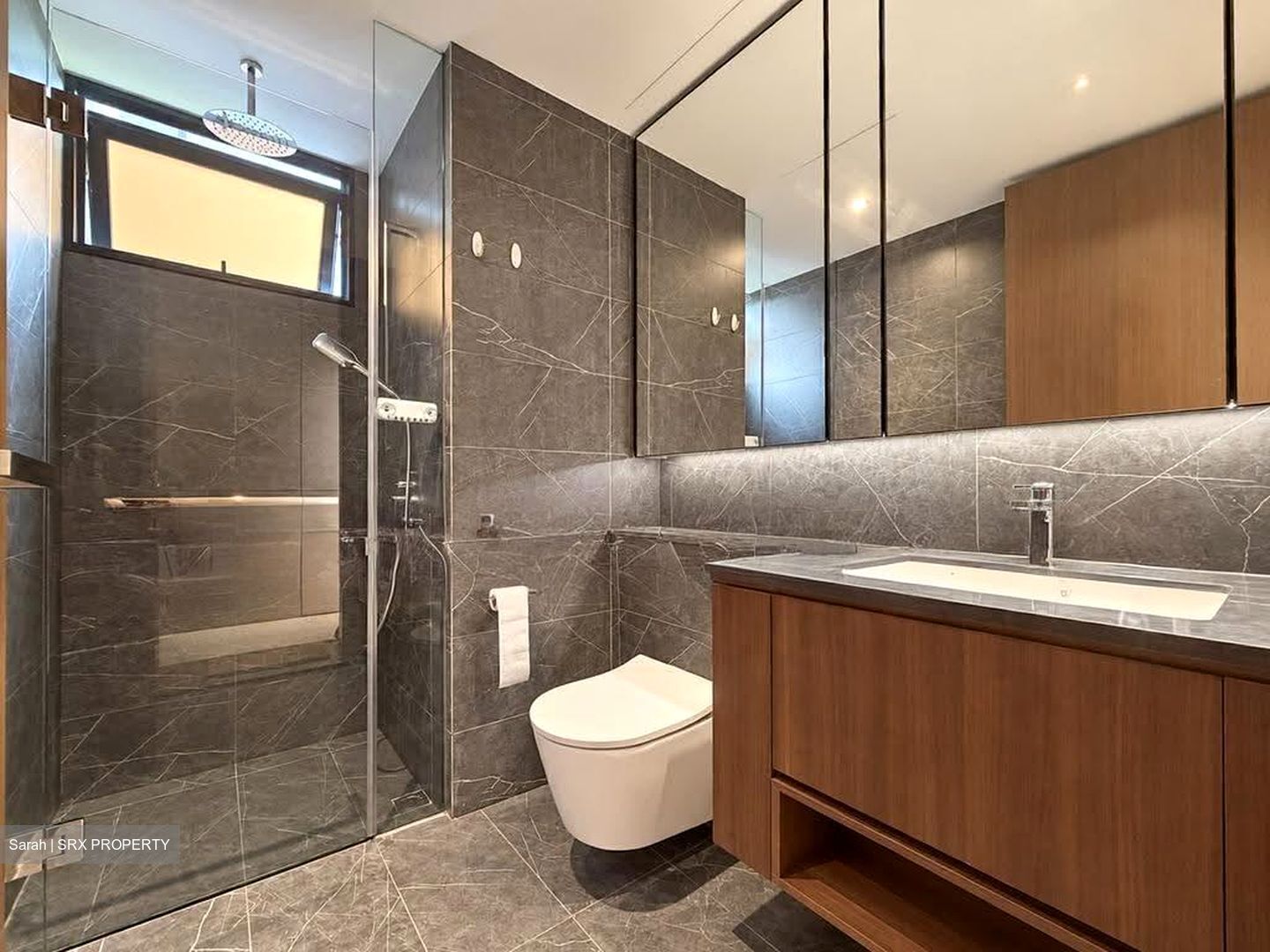 Kopar At Newton (D9), Apartment #635460251